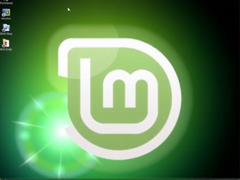 技巧 Linux Mint 端口占用