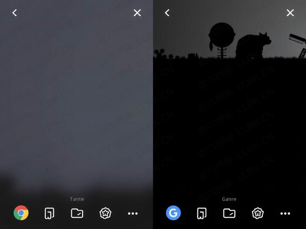 TikTok 服务器 BGP 线路：全球网络覆盖与优化