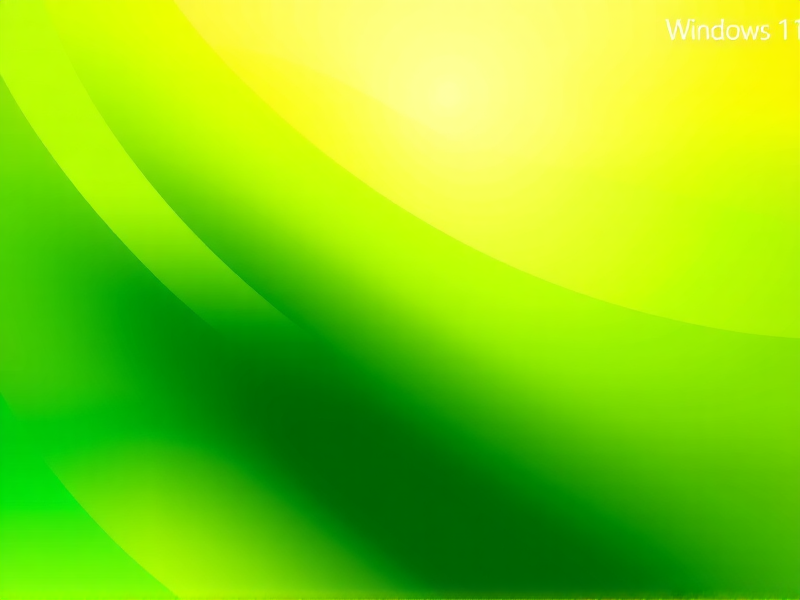 Windows 11 安装错误代码0x80070666