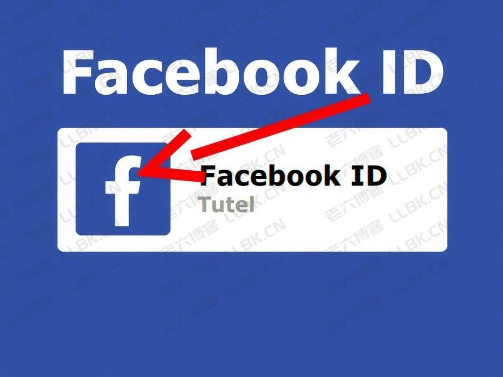 
facebook的id｜用户ID/个人资料ID最新查找方法及作用全解析