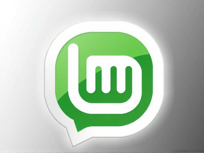 阿里云 Linux Mint 搭建指南