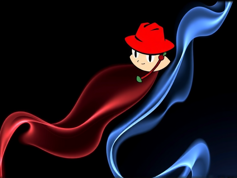 不属于RHEL中软件包封装类型的是什么？从RPM生态到跨平台格式的辨析