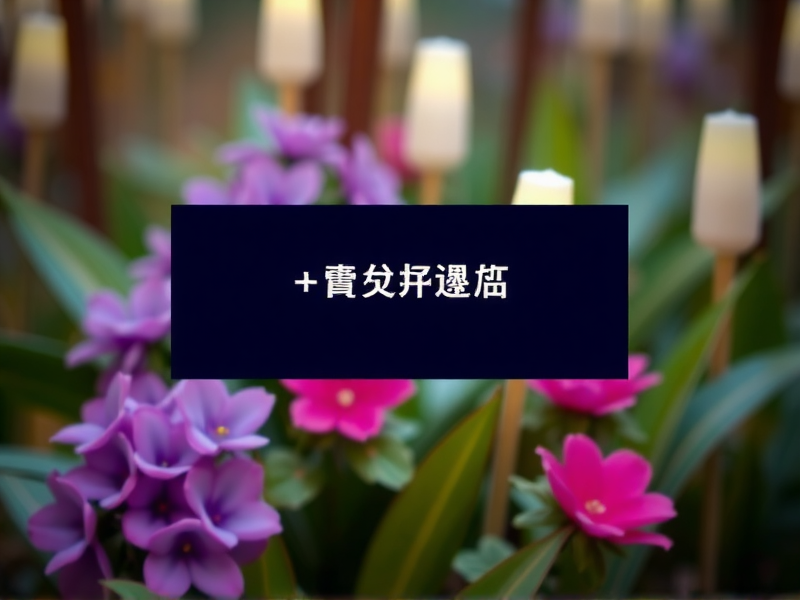 Windows下雨动态壁纸，让屏幕呼吸雨季的诗意