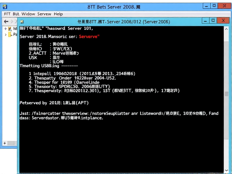 8T移动硬盘无法在Server 2008系统中识别？常见原因与详细排查步骤
