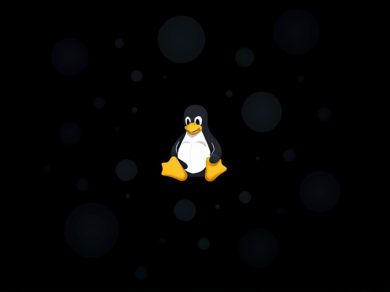 新手必看，在虚拟机上的Linux系统怎么查IP？3种方法轻松搞定