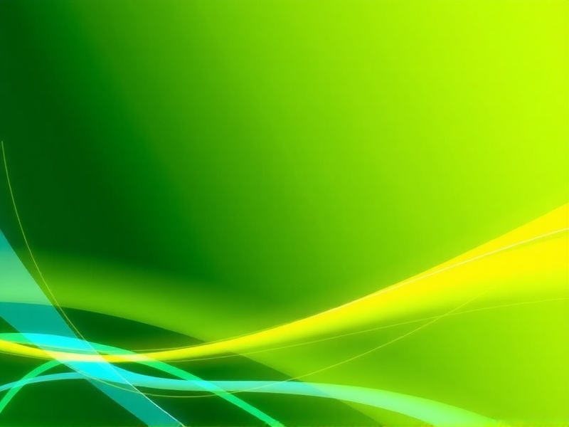 Windows Server 2008 局域网隐身故障排查指南，彻底解决看不到电脑的问题